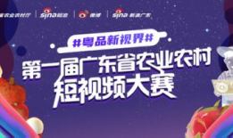 粤视频,探索广东文化魅力，展现时代风采